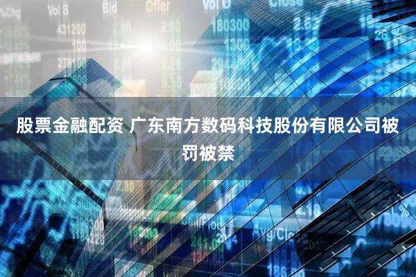 股票金融配资 广东南方数码科技股份有限公司被罚被禁