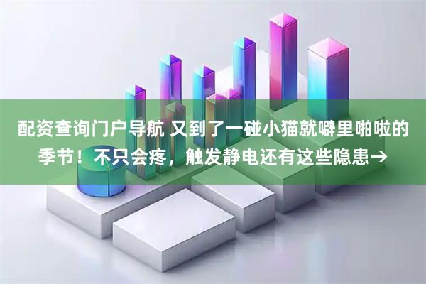 配资查询门户导航 又到了一碰小猫就噼里啪啦的季节！不只会疼，触发静电还有这些隐患→